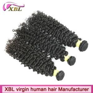 Wholesale Virgin Brazilian Different Types of Curly Weave Hair