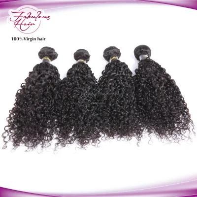 Mogollian Top Grade Virgin Curly Bundles Real Hair Extension