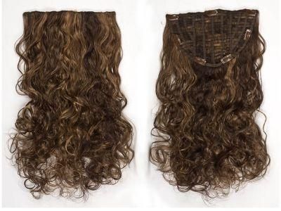Clip in Hair Extension Virgin Hair Clip on Hair Extensions (AV-HW00-21)