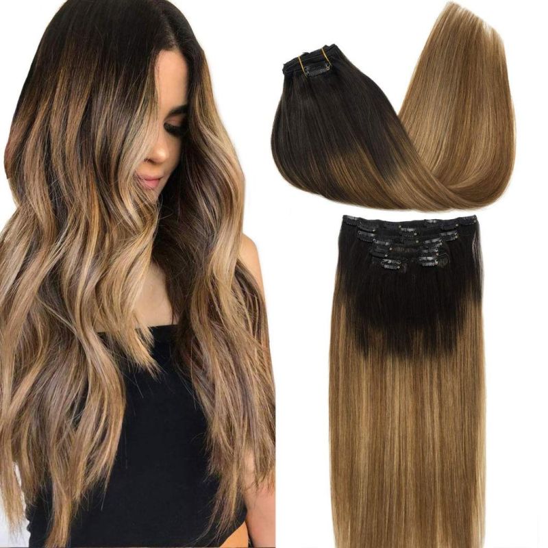 Clip in Brazilian Human Hair Extensions Full Head Remy Human Hair Straight Hair Extensions Multi Color 20 Inches