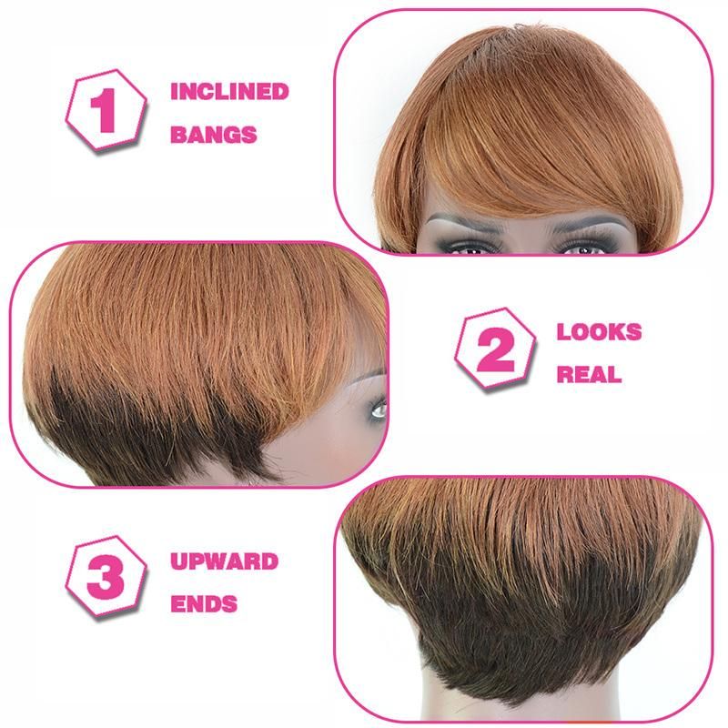 Angelbella Remy Hair Wigs Short Human Hair Wig 4#-30#-33# Human Hair Wig for Women
