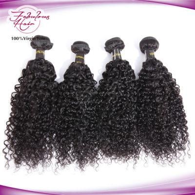 High Density Brazilian Human Hair Bundles Curly Remy Hair
