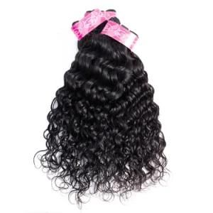 Human Hair Remy Brazilian Hair Hair Extensions Water Wave
