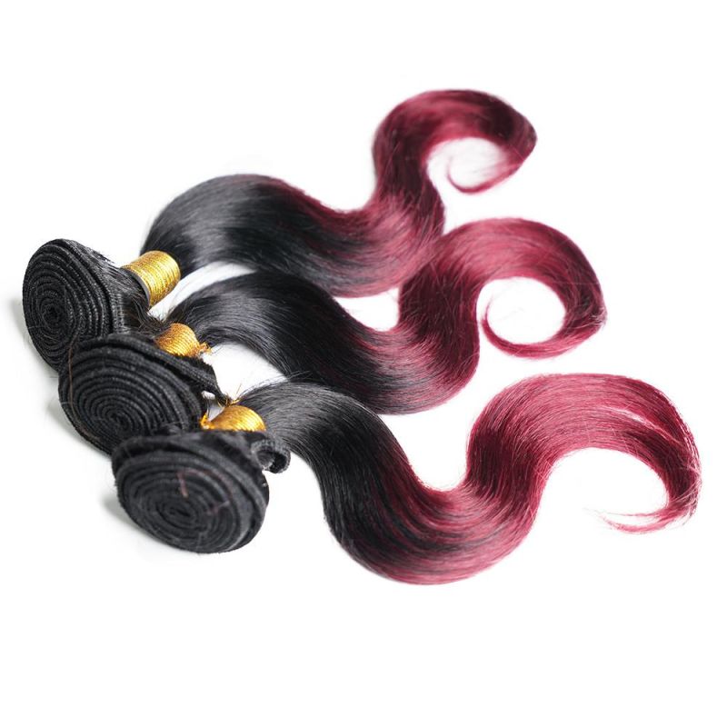 Human Hair Bundles Brazilian Human Hair Weave Ombre Hair Extensions