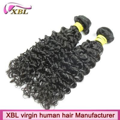 Remy Malaysian Curly Human Hair Tangle Free Hair