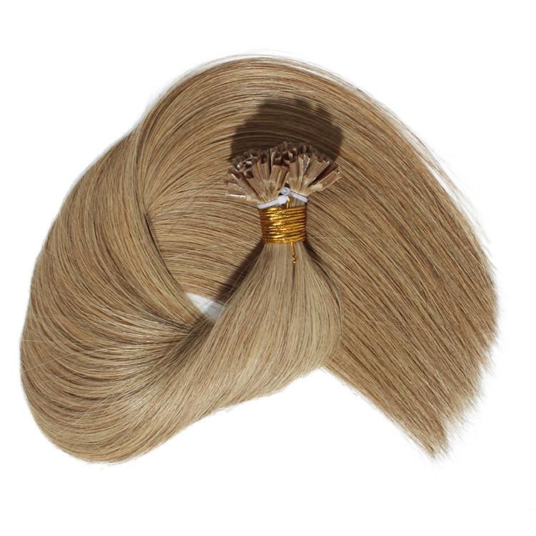 Wholesale Price 12A Virgin Unprocessed Raw Virgin Remy Human Hair U Tip Hair Extension