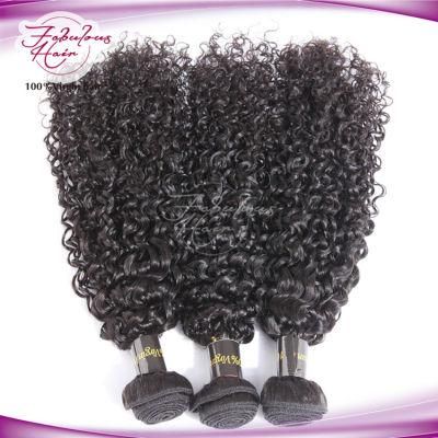 9A Tight Curly Unprocessed Indian Virgin Human Hair