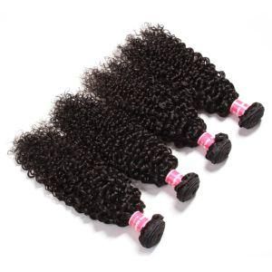 Natural Human Hair Peruvian Virgin Curly Human Hair Weaving Extension