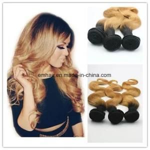 High Quality Wholesales Price Human Hair Brazilian Straight Ombre 1b/27 Body Wave Hair Weave in Stock
