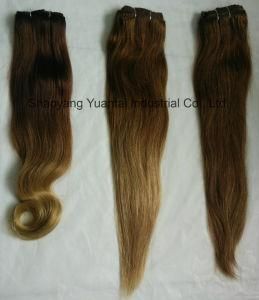Clip in (on) Ombre/Black Brazilian/Chinese Human Hair Extension