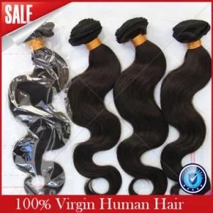 100% Brazilian Human Hair Full Lace Wigs Virgin Hair