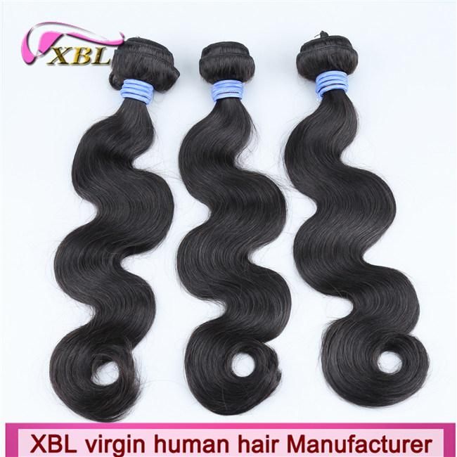 Xbl Factory Wholesale Grade 10A Raw Brazillian Human Hair