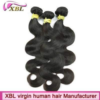 Wholesale Brazilian Unprocessed Hair Weft