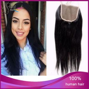 Wholesale Price Virgin Straight Human Hair