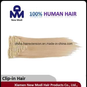 Brazilian Human Hair Clip in Hair Extension