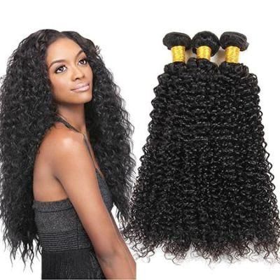 Luxuve Remy Human Virgin Jerry Curly Hair Bundles for Black Cuticle Aligned Hair Virgin Brazilian Jerrly Curly Hair
