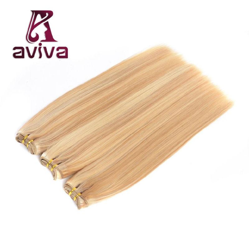 Aviva Brazilian Hair Extension P27/613 Straight Human Hair Extension
