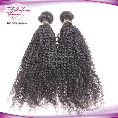 Peruvian Virgin Hair Afro Look Kinky Curly Hair Weaves