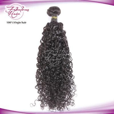 Top Grade Natural Brazilian Curly Virgin Human Hair