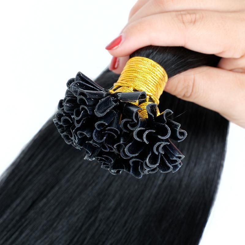 Hair Extension Wholesale U Tip & I Tip Natural Hair Extension