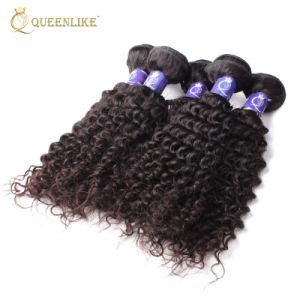 Burmese Raw Double Drawn Virgin Remy Cuticle Aligned Hair Weaving