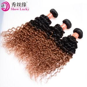 Top Quality Filipino Hair Ombre Kinky Curly Unprocessed Virgin Filipino Human Hair Extension