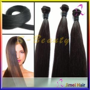 Fashion Any Color Unprocessed Virgin Indian Straight Hair Weft (SB-I-STW)