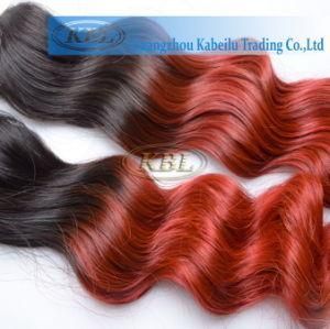Brazilian Special Two Tone Color Human Hair