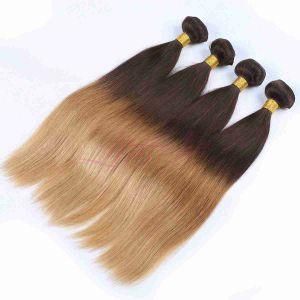 Ombre 1b/4/27 Brazilian Human Hair Weft Straight