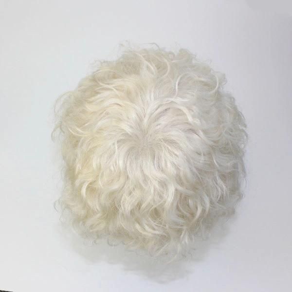 Human Grey Hair Curl Men′s Hair Wig