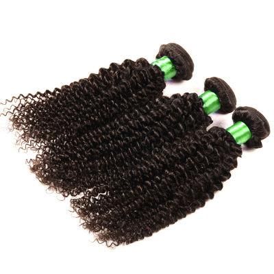 Grade 9A Brazilian Curly Virgin Hair Kinky Curly Virgin Hair 3PCS/ Lot Unprocessed Remy Human Hair Weave Afro Kinky Curly Hair