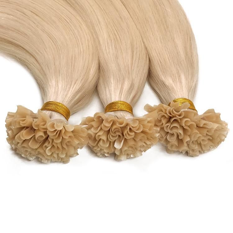 Blonde Double Drawn U Tip 12A Virgin Human Hair Extensions #24