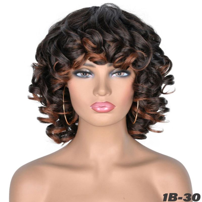 Super Short Hair Brazilian Human Hair Afro Curly Wig with Bangs Loose Fluffy Shoulder Length Natural Lace Front Wigs for Black Women 14 Inches