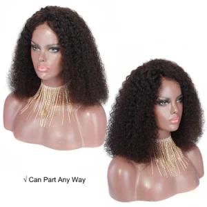 Wholesale Best Quality Natural Hairline Part Anywhere Virgin Human Hair Short Curly Bob Lace Front Wigs