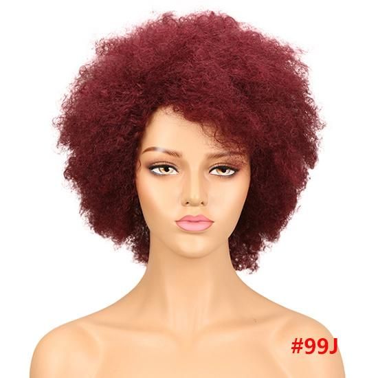 Kbeth Afro Kinky Curly Full Lace Wig Brazilian Lace Wigs for Women Customized Preplucked Bleached Knots Human Hair Ladies Wig with Baby Hair