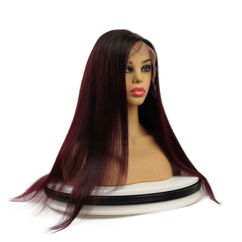 Swiss Lace Wig Transparent, Transparent Lace Front Wig Pre Plucked, Human Hair Wigs Grade 12A