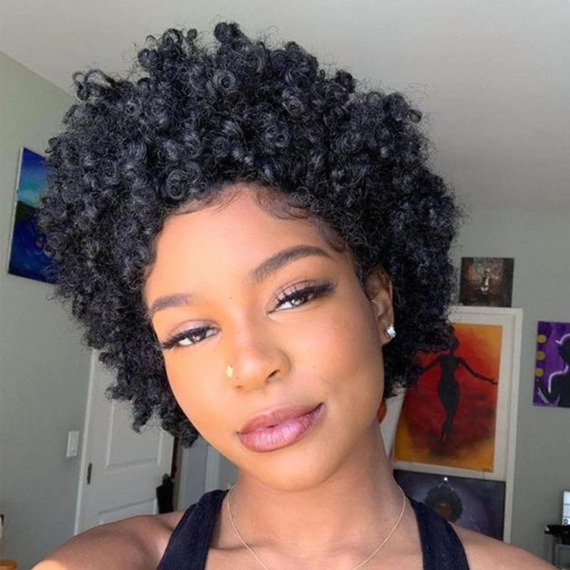 Kinky Curly Pixie Cut Wigs Short Human Hair Wig with Lace Front Human Brazilian Hair Wig for Black Women