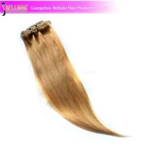 #613 Brazilian Straight Clip in Human Hair