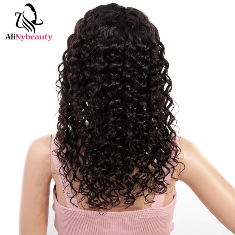 Alinybeauty Deep Wave Virgin Human Hair Lace Front Wig