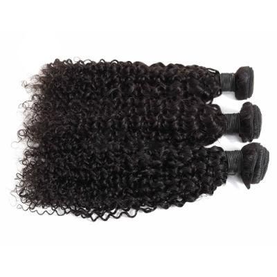 High Quality Cheapest Price Kinky Curly Bundle for Black Women