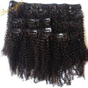Wholesale Virgin Malaysian Remy Clip on/in Human Hair Extension Kinky Curly Hair