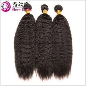 Wholesale Unprocessed Virgin Brazilian Kinky Straight Hair Products Remy Human Hair Weft