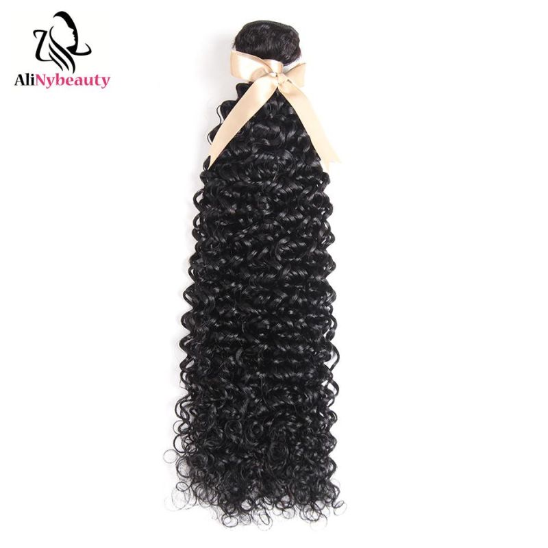Alinybeauty Wholesale 100% Virgin Brazilian Hair Bundles with Lace Frontal