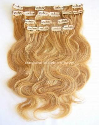 Clip in Hair Extension Human Hair