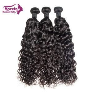 Raw Unprocessed Virgin Brazilian Hair Weave Bundles Water Wave Human Hair