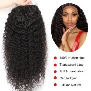 Amazon Curly India Lace Front Wigs with Baby Hair (24 Inch)