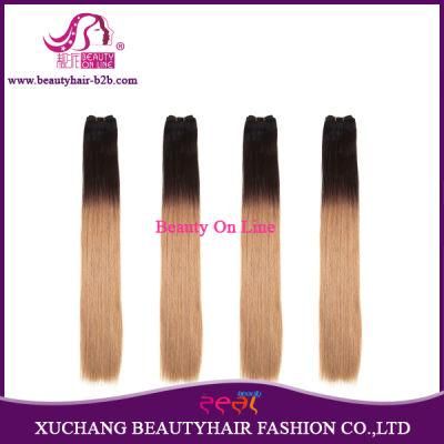 Ombre Brazilian Remy Human Hair Extension Weft