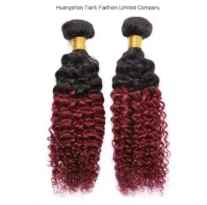 New Fashion Ombre Braiding Hair, Hair for Braids