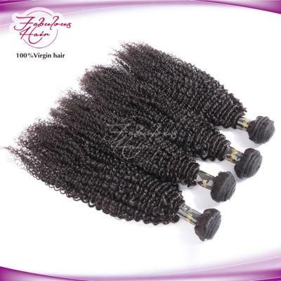 Hair Weft Promotion Price Coming Christmas Kinky Curly Brazilian Hair