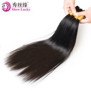 Popular Long European Human Hair Extensions Can Dye Natural Black Virgin Hair Braiding Bulk No Attachment